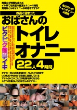お高く留まったおばさんのトイレオナニー22人4時間 パッケージ画像表