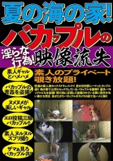 真夏の海の家！バカップルの淫らな行為！映像流出 素人のプライベート覗き放題！ パッケージ画像