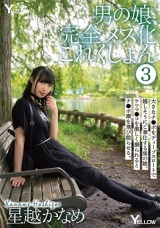 男の娘、完全メス化これくしょん 3 星越かなめ パッケージ画像