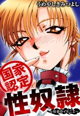 国家認定性奴●～社会のイケニエ～ パッケージ画像