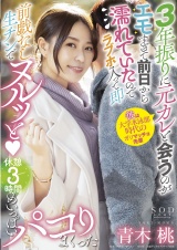 3年振りに元カレと会うのがエモすぎて前日から濡れていたのでラブホ入って即前戯なし生チンでヌルッと(ハート) 休憩 3 時間めいっぱいパコりまくった 青木桃 パッケージ画像