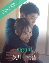 signal-及川大智- パッケージ画像