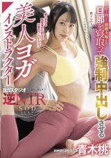 出産を控えた新婚夫婦から旦那を寝取って強●中出しさせる美人ヨガインストラクター 青木桃 パッケージ画像表