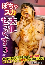 ぽちゃスカ大便せっくす3 パッケージ画像
