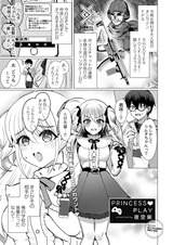 PRINCESS▼PLAY パッケージ画像