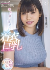 無意識に誘惑する着衣巨乳  おっぱい妄想4シチュエーション Gカップ浜辺栞帆 パッケージ画像
