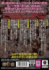 近親相姦 姉と弟のSEX パッケージ画像裏