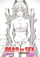 DEAD OR SEX 幕間 パッケージ画像