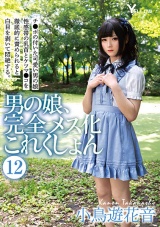 男の娘、完全メス化これくしょん 12 小鳥遊花音 パッケージ画像