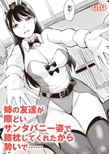 うさぎのお姉さん パッケージ画像