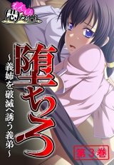 堕ちろ 〜義姉を破滅へ誘う義弟〜（３） パッケージ画像