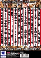 誰にも言えない理性より快楽を優先した母と息子のセックス 近親相姦200分 パッケージ画像裏