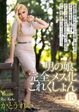 男の娘、完全メス化これくしょん 15 かとうれい パッケージ画像