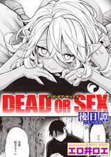 DEAD OR SEX 後日譚 パッケージ画像