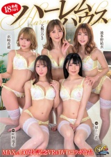 MAX-A30周年記念作品 18禁ハーレムハウス パッケージ画像