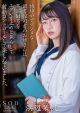 物静かでマジメな図書館司書のお姉さんは、早漏M男をエグい寸止めと焦らしで射精コントロールして楽しんでいました。浜辺栞帆 パッケージ画像