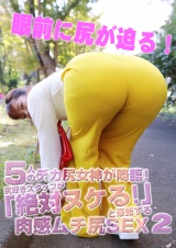 ５人のデカ尻女神が降臨！尻好きスタッフが「絶対ヌケる！」と豪語する肉感ムチ尻ＳＥＸ（2） パッケージ画像