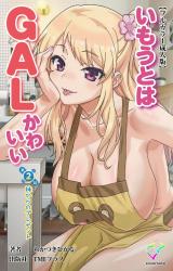 いもうとはGALかわいい 第2話 妹からのプレゼント【フルカラー成人版】 パッケージ画像