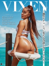 【VIXEN】Vixen～偶然をチャンスに変える貪欲な女ギツネたち～ パッケージ画像