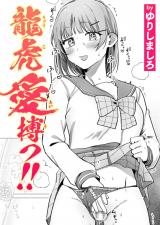 龍虎愛搏つ!! パッケージ画像
