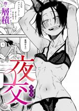夜交 パッケージ画像