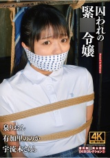 囚われの緊●令嬢 DIDコレクション3 パッケージ画像