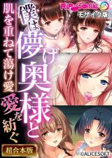 僕は儚げ奥様と愛を紡ぐ ～肌を重ねて蕩け愛～【超合本シリーズ】 モザイク版 パッケージ画像