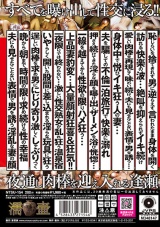 誰にも言えない 五十路四十路カップルの 不倫とセックス おばさん6人200分 パッケージ画像裏
