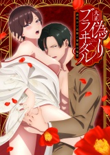 【完全版】大正偽りブラヰダル～身代わり花嫁と軍服の猛愛【プレミアム版】 パッケージ画像