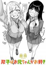 双子はお兄ちゃんがお好き パッケージ画像