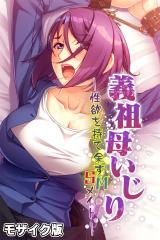義祖母いじり ～性欲を持て余すSMメイト～ モザイク版 パッケージ画像