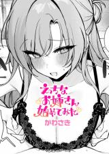 えっちなお姉さん始めてみた パッケージ画像