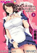 めいどに逝った母さんがメイドになって還ってきた　コミカライズ　分冊版（３） モザイク版 パッケージ画像表
