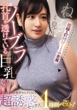 乳首が透けているノーブラ巨乳娘の超誘惑セックス4時間ベスト！【FALENO名作セレクション】 パッケージ画像
