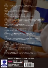 美人家庭教師の誘惑 11人200min パッケージ画像裏