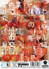 媚薬治験バイトのギャル軟派24 パッケージ画像裏