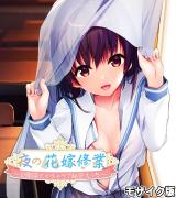 夜の花嫁修業～幼馴染とイチャラブ秘密えっち～ モザイク版 パッケージ画像