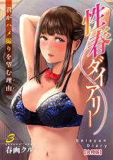 性春ダイアリー～君がハメ撮りを望む理由～【合冊版】3 パッケージ画像