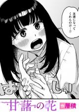 甘藷の花 パッケージ画像