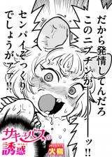 サキュバスの誘惑 パッケージ画像