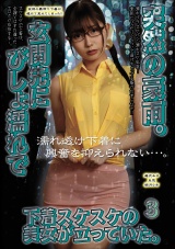 突然の豪雨。玄関先にびしょ濡れで下着スケスケの美女が立っていた。3 パッケージ画像