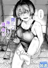 閉じた海にも飛魚は パッケージ画像
