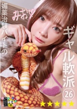 媚薬治験バイトのギャル軟派26 パッケージ画像