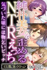 純朴美女を歪めるNTRえっち ～気づいた頃には物乞いビッチ～【CG集コレクション】 モザイク版 パッケージ画像