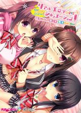 サキュせか The Erof ～誘惑に負けないで：サキュバスに管理された世界で～ CGノベル版 モザイク版 後編 パッケージ画像