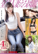 全国人妻えろ図鑑 PREMIUM 19 パッケージ画像