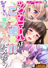 ツインテールはこう使え！！～あざとい！尊い！シコい！ハメたい！～【超合本シリーズ】 モザイク版