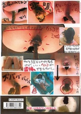 小●生一本グソ隠し撮り パッケージ画像裏