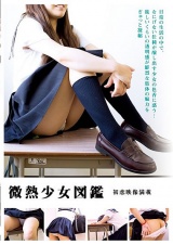 微熱少女図鑑 パッケージ画像