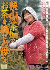 狭山の茶畑でお茶を摘むお母さん 堀池忍 パッケージ画像